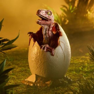 Tojás - Toyllectible Treasures